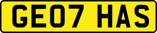 GE07HAS