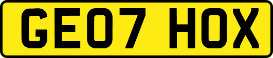 GE07HOX