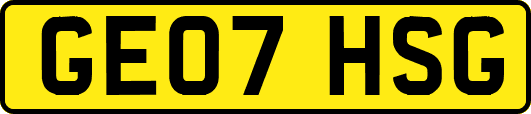 GE07HSG