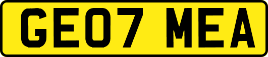 GE07MEA