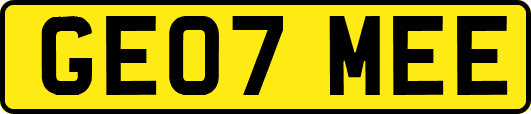 GE07MEE