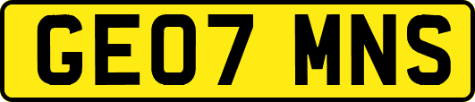 GE07MNS