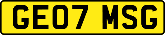 GE07MSG