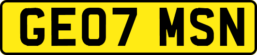 GE07MSN