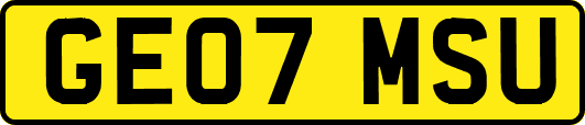 GE07MSU