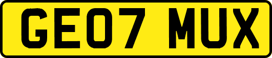 GE07MUX