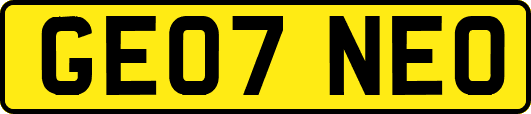 GE07NEO