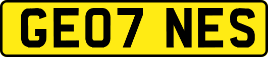 GE07NES
