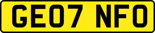 GE07NFO