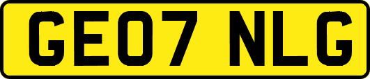 GE07NLG