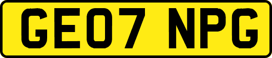 GE07NPG