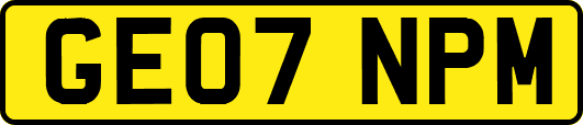 GE07NPM