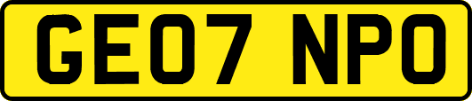 GE07NPO
