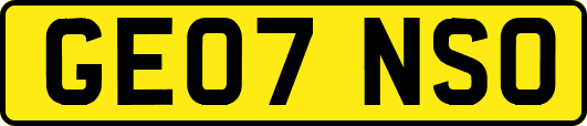 GE07NSO