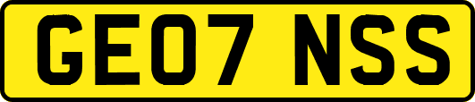 GE07NSS