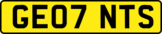 GE07NTS