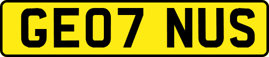 GE07NUS