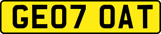 GE07OAT