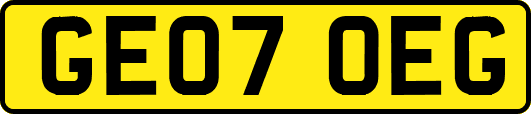 GE07OEG