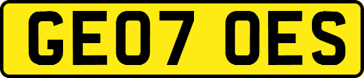 GE07OES