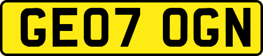 GE07OGN