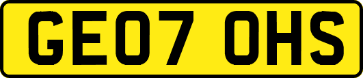 GE07OHS