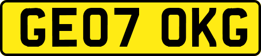 GE07OKG