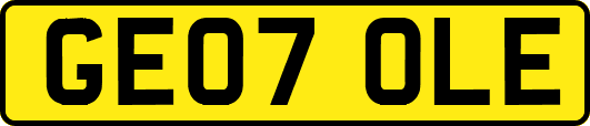 GE07OLE
