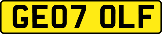 GE07OLF