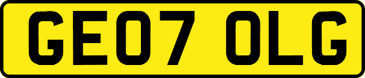GE07OLG
