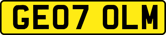 GE07OLM