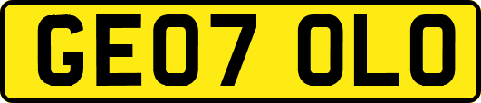 GE07OLO