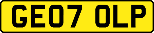 GE07OLP