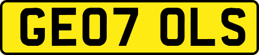 GE07OLS