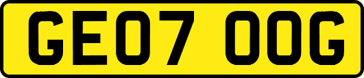 GE07OOG