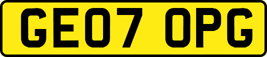 GE07OPG