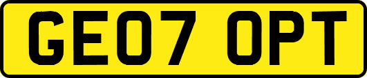 GE07OPT