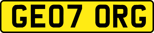 GE07ORG