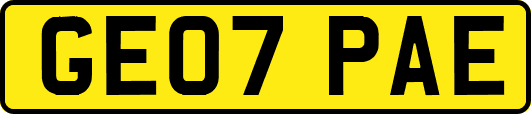 GE07PAE