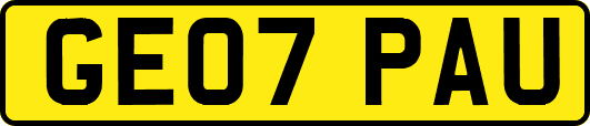 GE07PAU