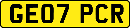 GE07PCR