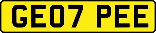 GE07PEE