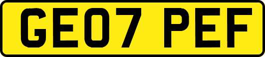 GE07PEF