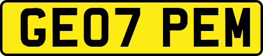 GE07PEM