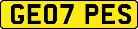 GE07PES