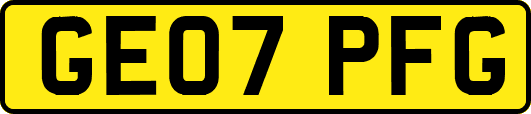 GE07PFG