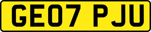 GE07PJU