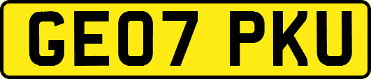 GE07PKU