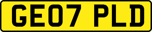 GE07PLD