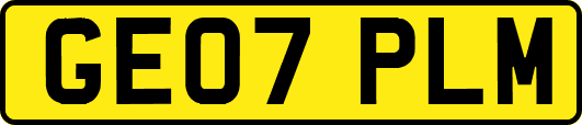 GE07PLM